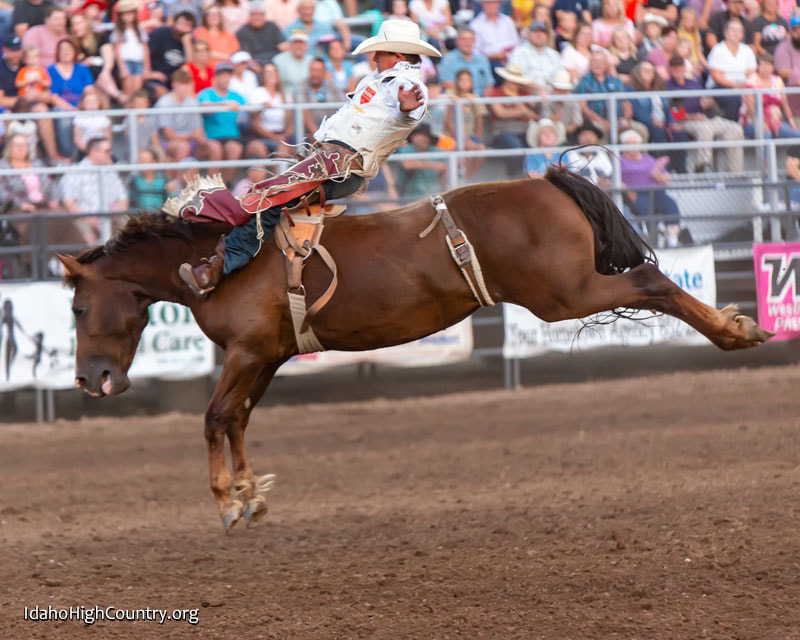 Bareback riding at the rodeo in Preston IdahoPicture