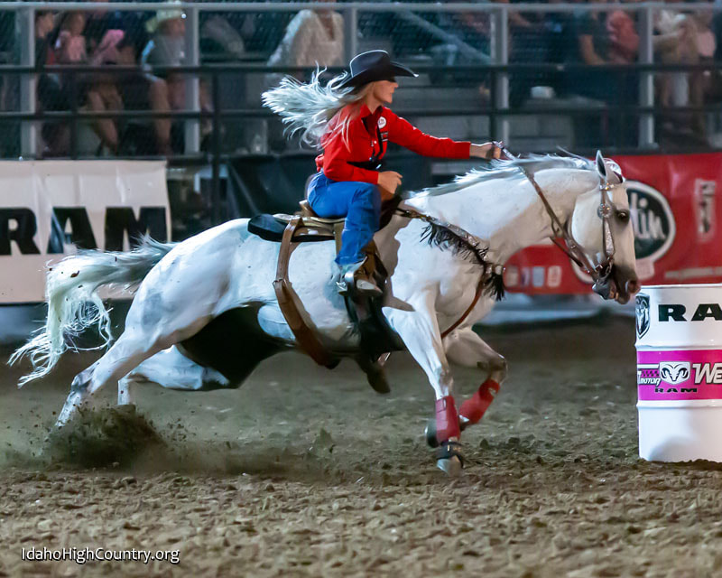 Barrel racing at the famous Preston night Rodeo