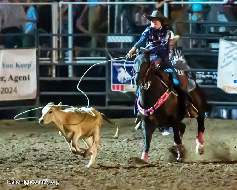 Calf roping at the Preston rodeo in Idaho